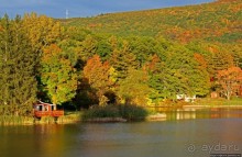 В гостях у Радуги. Виндзор: вот и "сказочке" конец