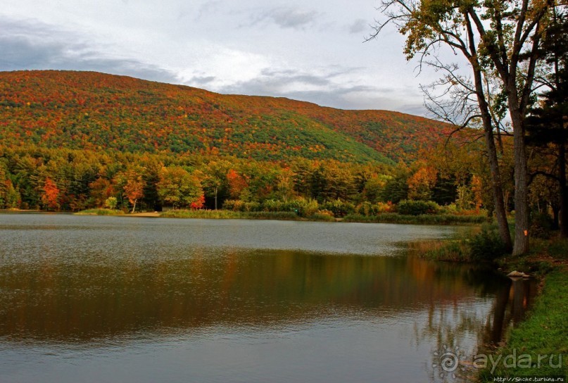 В гостях у Радуги. Виндзор: вот и "сказочке" конец