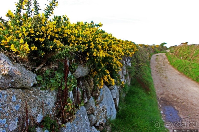 Свидетель лет давно минувших. Mên Scryfa — камень с надписью