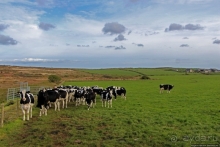 Свидетель лет давно минувших. Mên Scryfa — камень с надписью