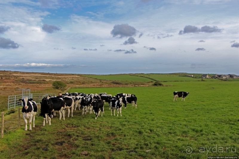 Свидетель лет давно минувших. Mên Scryfa — камень с надписью