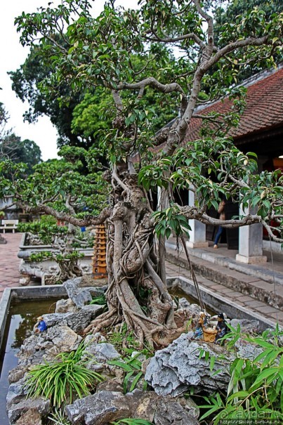 文廟 — Храм Литературы. Парк, Конфуций и "Память Мира" ЮНЕСКО