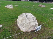 Олимпеион, или Храм Зевса Олимпийского — остаток величия