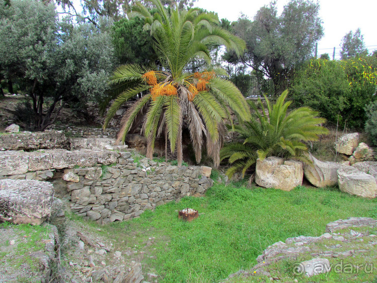 Олимпеион, или Храм Зевса Олимпийского — остаток величия