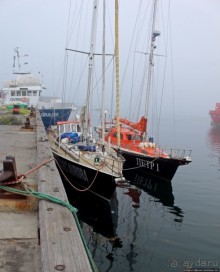 Ледяной порой Аасиаат из тумана выплывает