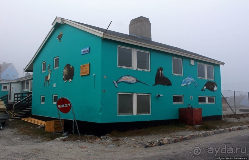 Ледяной порой Аасиаат из тумана выплывает