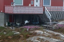 Ледяной порой Аасиаат из тумана выплывает