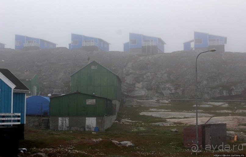 Ледяной порой Аасиаат из тумана выплывает