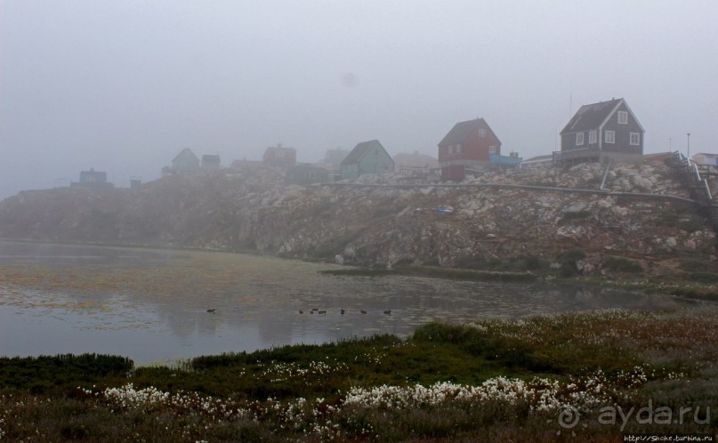 Ледяной порой Аасиаат из тумана выплывает