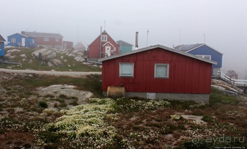 Ледяной порой Аасиаат из тумана выплывает