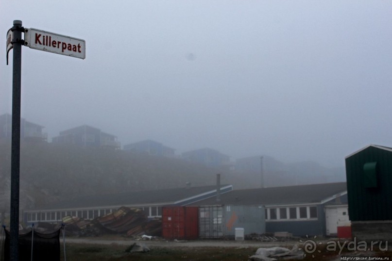 Ледяной порой Аасиаат из тумана выплывает