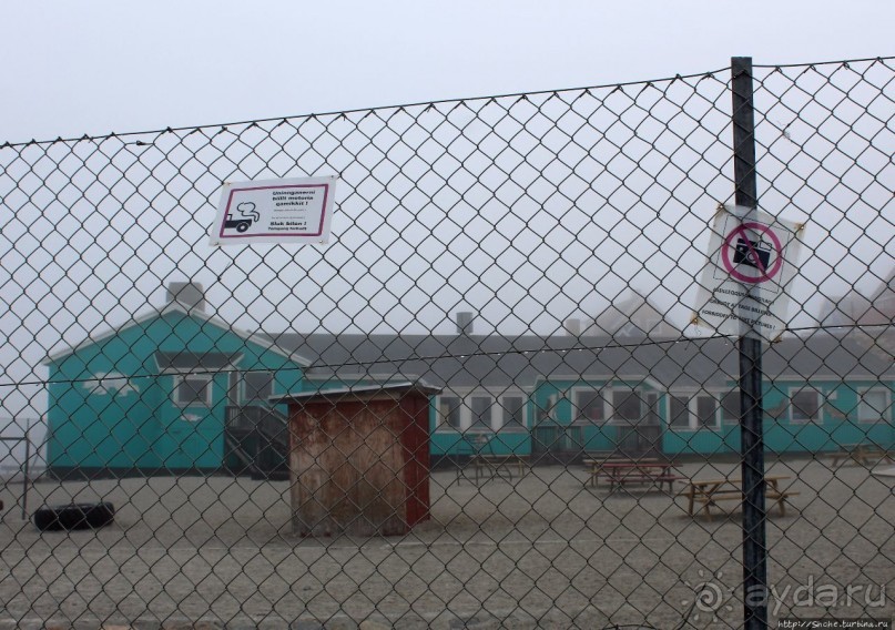 Ледяной порой Аасиаат из тумана выплывает