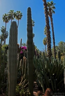 Мажорель — уголок безмятежности