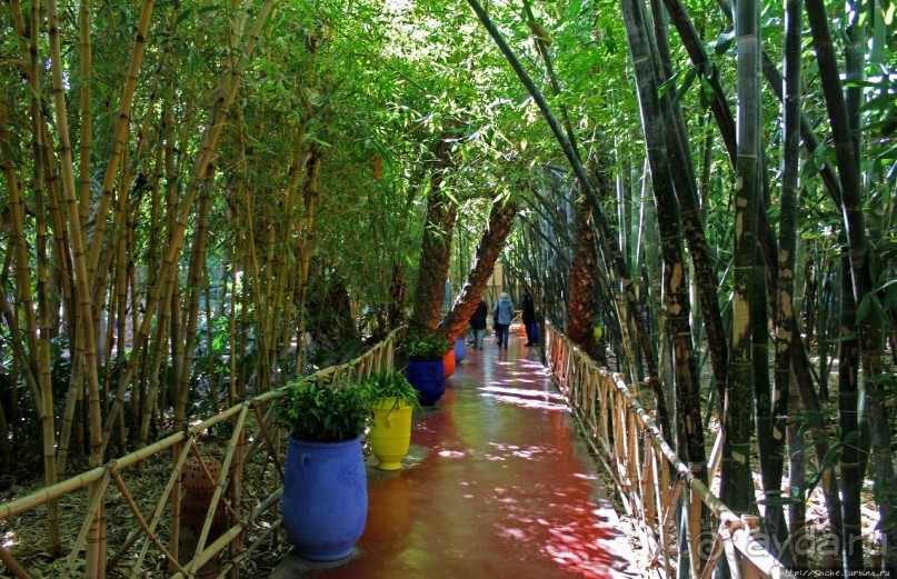 Мажорель — уголок безмятежности