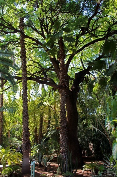 Мажорель — уголок безмятежности