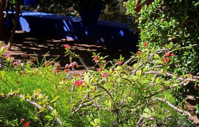 Мажорель — уголок безмятежности