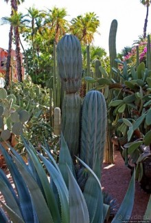 Мажорель — уголок безмятежности