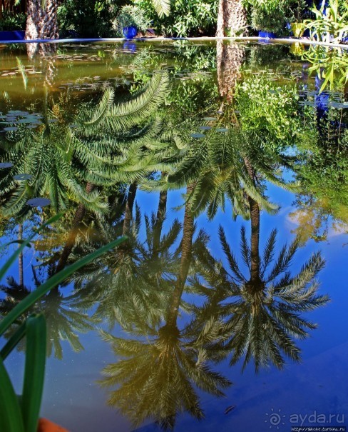 Мажорель — уголок безмятежности