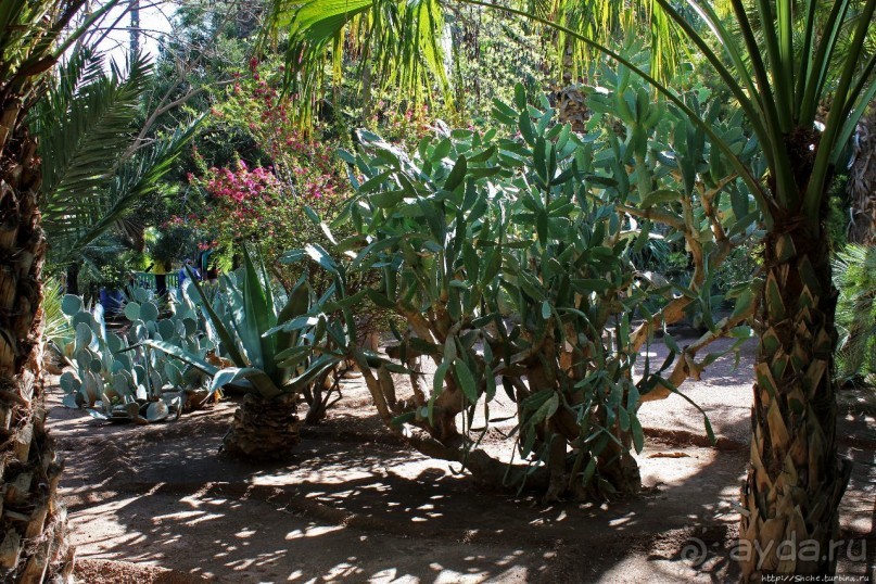 Мажорель — уголок безмятежности