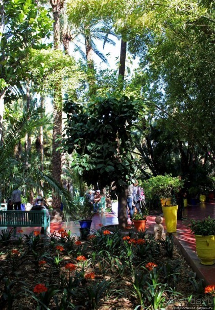 Мажорель — уголок безмятежности