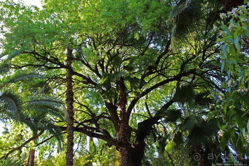 Мажорель — уголок безмятежности