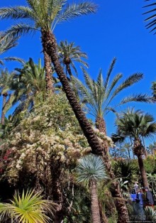 Мажорель — уголок безмятежности