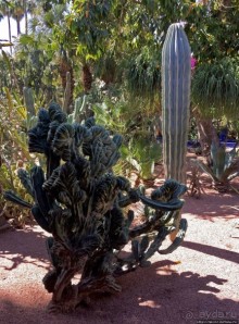 Мажорель — уголок безмятежности