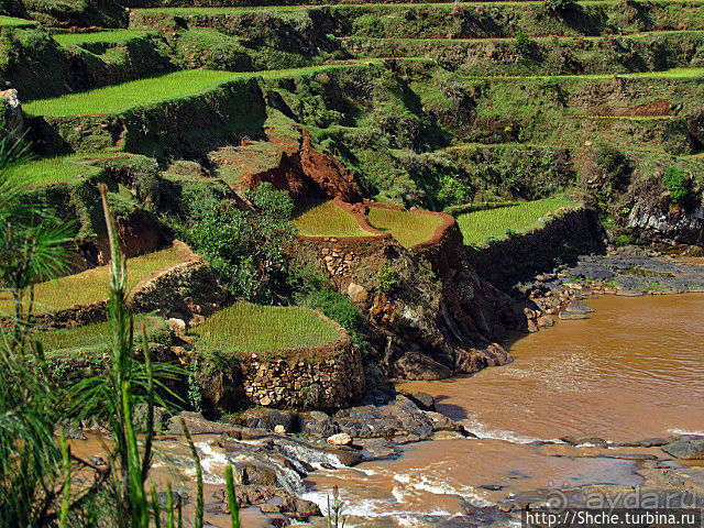 Короткая остановка с чудо-видом на рисовые террасы