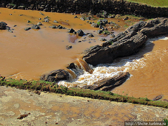 Короткая остановка с чудо-видом на рисовые террасы