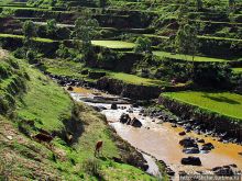 Короткая остановка с чудо-видом на рисовые террасы