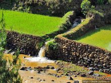 Короткая остановка с чудо-видом на рисовые террасы