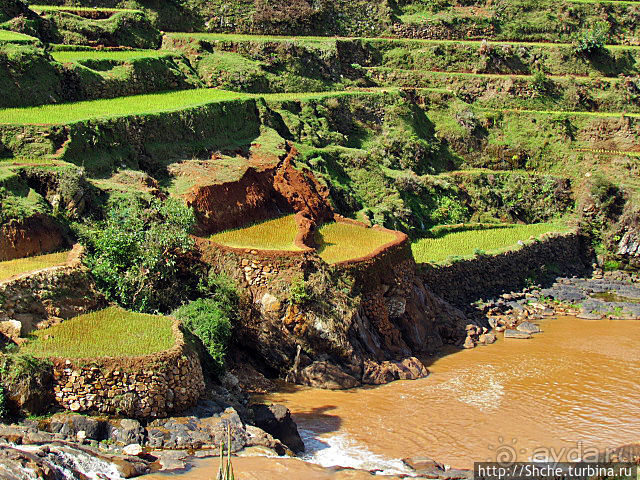 Короткая остановка с чудо-видом на рисовые террасы