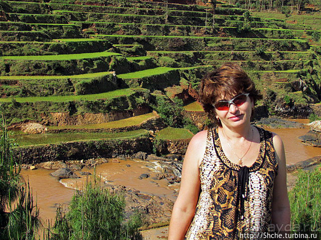 Короткая остановка с чудо-видом на рисовые террасы