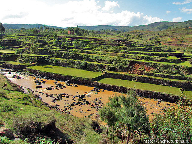 Короткая остановка с чудо-видом на рисовые террасы