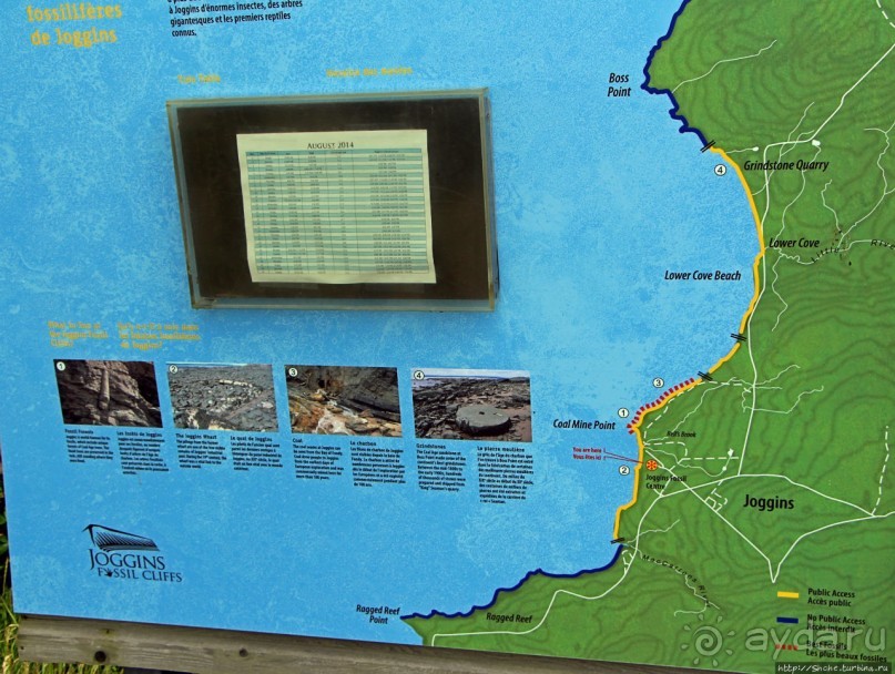 Скалы с окаменелостями в Джоггинсе (объект ЮНЕСКО № 1285)