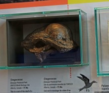 Скалы с окаменелостями в Джоггинсе (объект ЮНЕСКО № 1285)