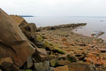 Скалы с окаменелостями в Джоггинсе (объект ЮНЕСКО № 1285)