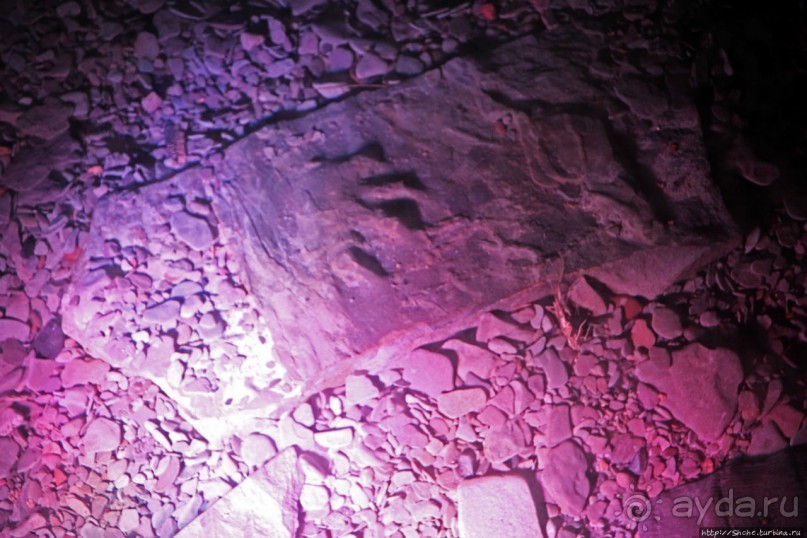 Скалы с окаменелостями в Джоггинсе (объект ЮНЕСКО № 1285)