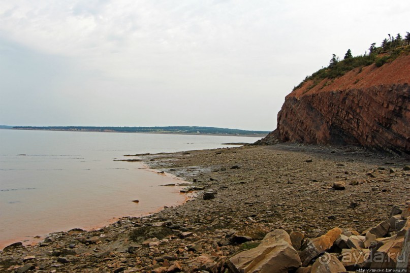 Скалы с окаменелостями в Джоггинсе (объект ЮНЕСКО № 1285)