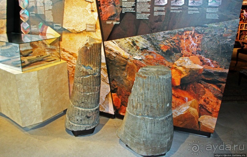 Скалы с окаменелостями в Джоггинсе (объект ЮНЕСКО № 1285)