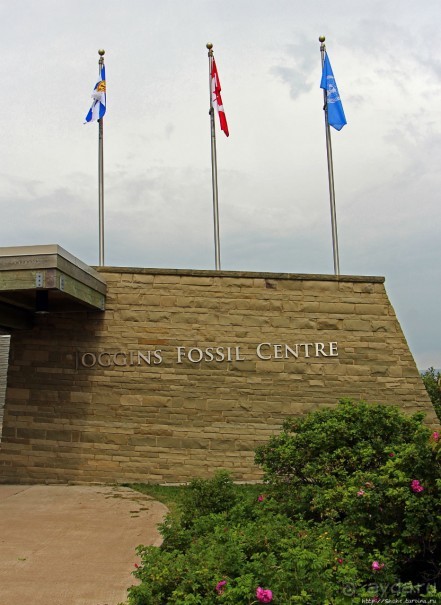 Скалы с окаменелостями в Джоггинсе (объект ЮНЕСКО № 1285)