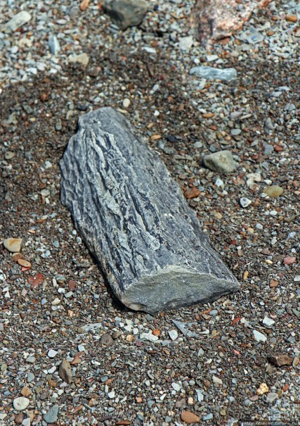 Скалы с окаменелостями в Джоггинсе (объект ЮНЕСКО № 1285)