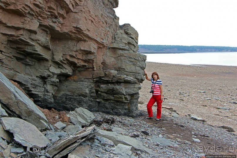 Скалы с окаменелостями в Джоггинсе (объект ЮНЕСКО № 1285)