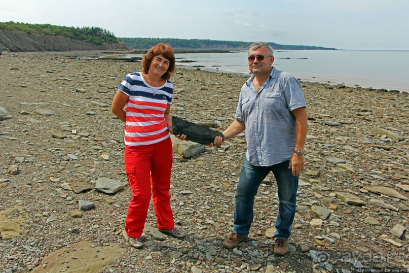 Скалы с окаменелостями в Джоггинсе (объект ЮНЕСКО № 1285)