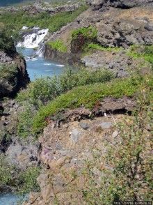 Hraunfossar- по-моему, самый живописный водопад Исландии
