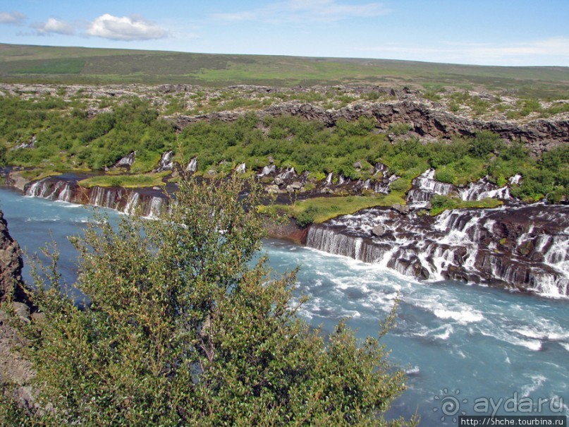 Hraunfossar- по-моему, самый живописный водопад Исландии