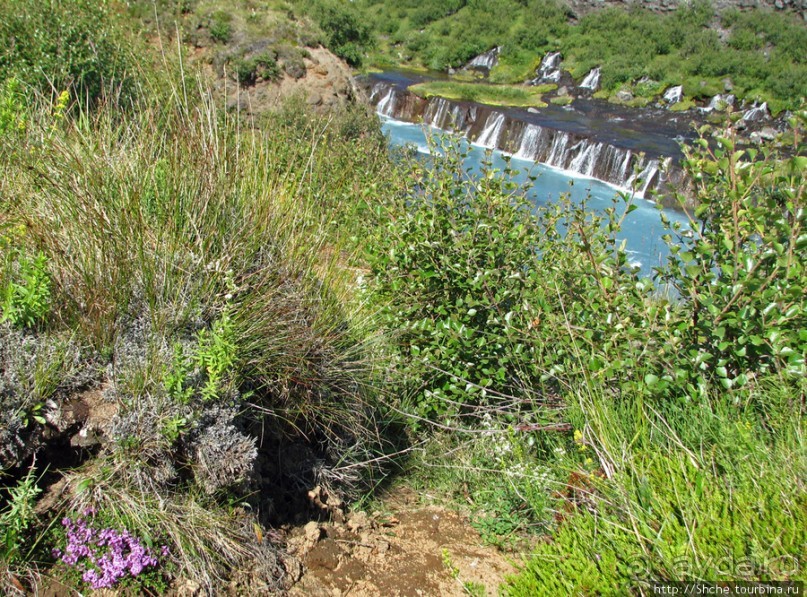 Hraunfossar- по-моему, самый живописный водопад Исландии
