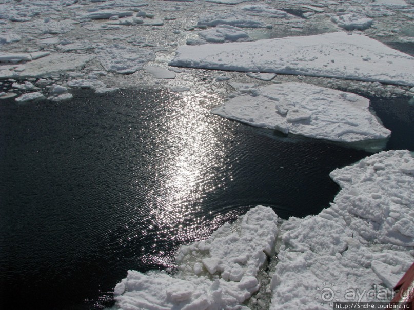 Deception Island — пройти внутри вулкана, все без обмана