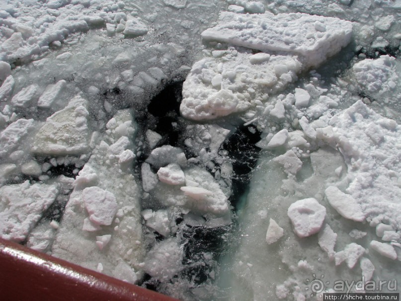 Deception Island — пройти внутри вулкана, все без обмана