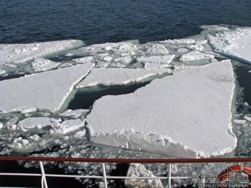 Deception Island — пройти внутри вулкана, все без обмана